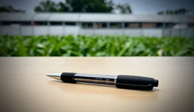 网络技术咨询方案开发的适用条件检查要点